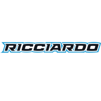 Ricciardo Kart